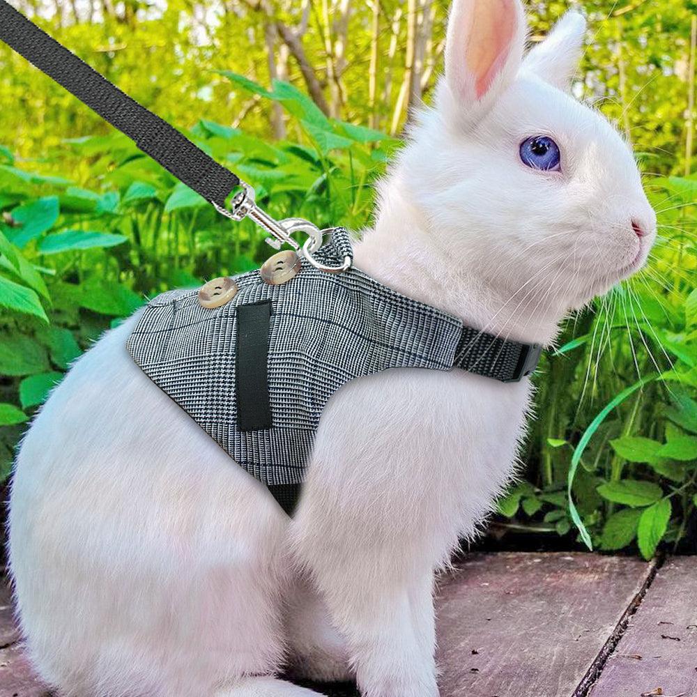 Whimsical Rabbit Harness Dress with Chest Strap-0
