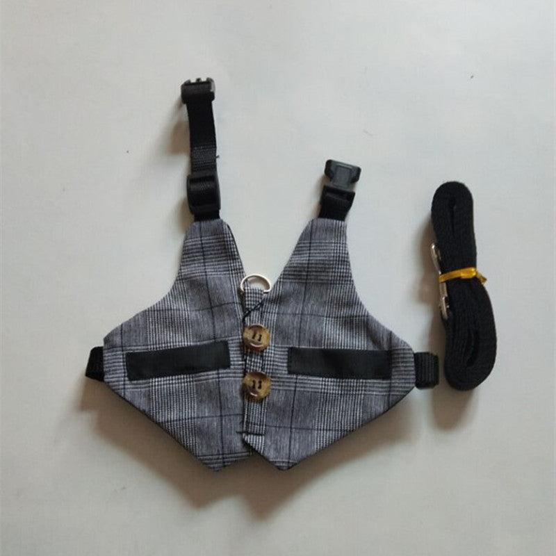 Whimsical Rabbit Harness Dress with Chest Strap-5