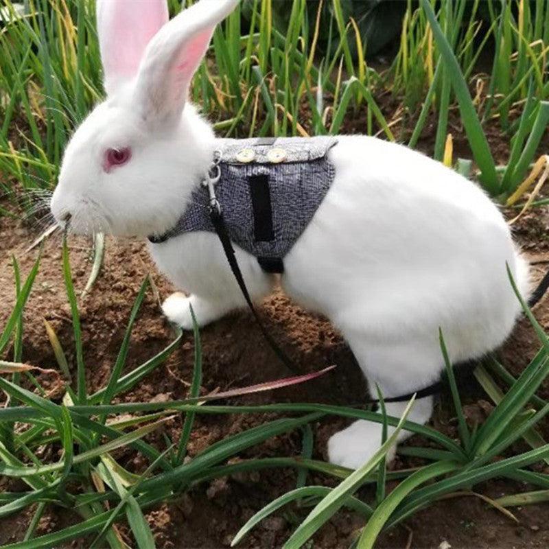 Whimsical Rabbit Harness Dress with Chest Strap-2