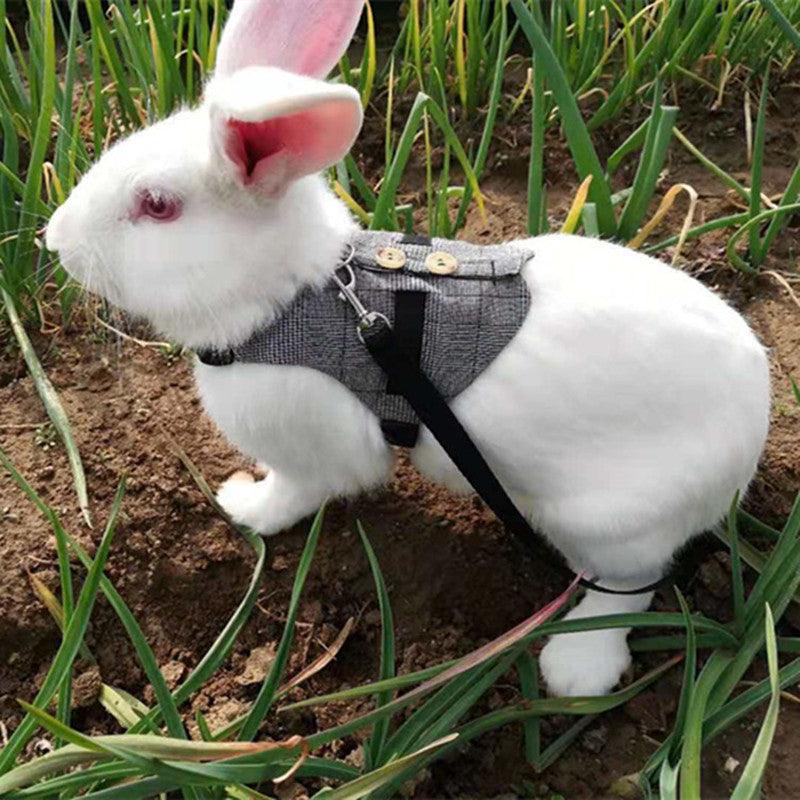 Whimsical Rabbit Harness Dress with Chest Strap-4