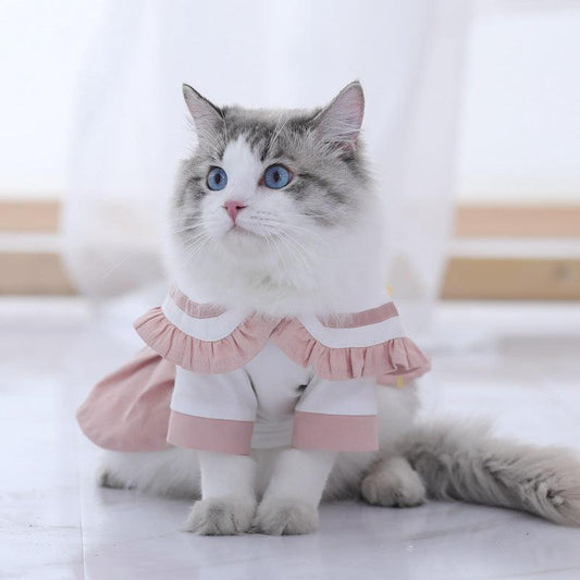 Cute Summer Cat Dress With Pleated Skirt And Rabbit Ears-0